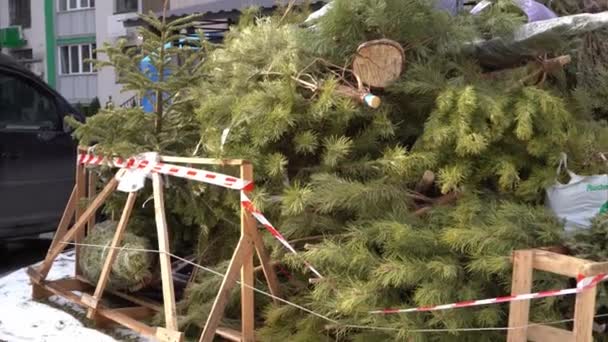 Recycling Christmas Trees Holidays Christmas Tree Thrown Trash Landfill Courtyard — Video Stock