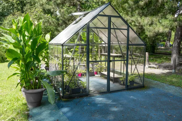 Θερμοκήπιο Στον Κήπο Γυαλί Μικρό Συμπαγές Θερμοκήπιο Για Την Καλλιέργεια — Φωτογραφία Αρχείου
