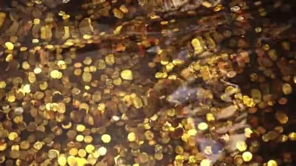 Schatten Bodem Van Oceaan Gouden Munten Onder Water Veel Munten — Stockvideo