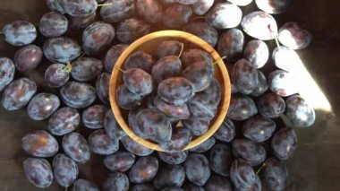 Erikli bir Macar. Mutfaktaki masada meyve hasadı var. Sonbahar mavisi erik. Vitamin kasesi..