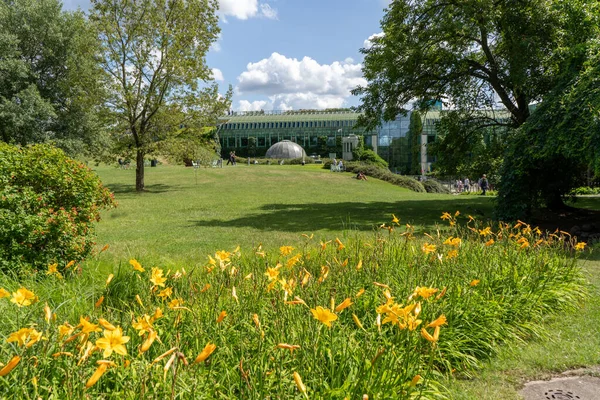 屋顶上的植物园 华沙大学图书馆 波兰现代建筑 夏天的绿色植物 波兰华沙 2023年7月27日 — 图库照片