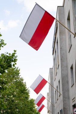 Şehirdeki sokak evlerinde Polonya bayrakları var. Vatanseverlik. Kırmızı ve beyaz bayrak. Polonya.