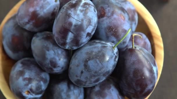 Pruimenras Hongaars Fruitoogst Tafel Keuken Herfst Blauwe Pruim Vitamine Voerbak — Stockvideo