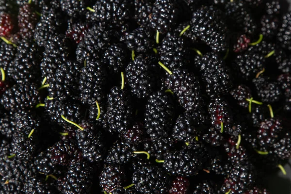Mulberry Berries Blackberry Harvest Summer Fruit Black Food Background — Stock Photo, Image