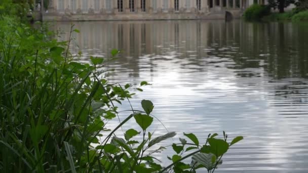 Göl Evi Göletli Lazienki Parkı Sudaki Saray Bir Mimari Abidesidir — Stok video