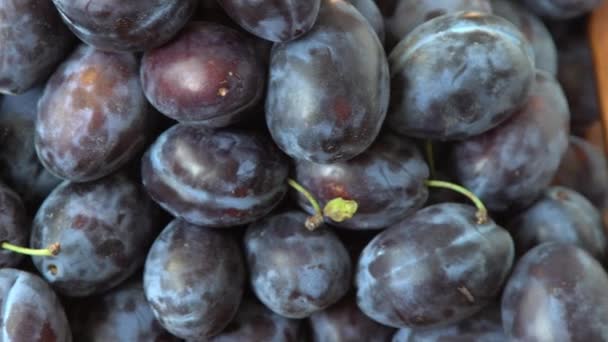 Pruimenras Hongaars Fruitoogst Tafel Keuken Herfst Blauwe Pruim Vitamine Voedsel — Stockvideo