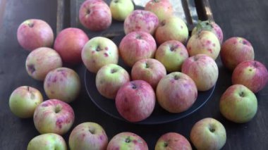 Elma hasatı Sonbahar meyvesi. Vitamin yiyeceği. Pembe noktalı kırmızı elmalar..