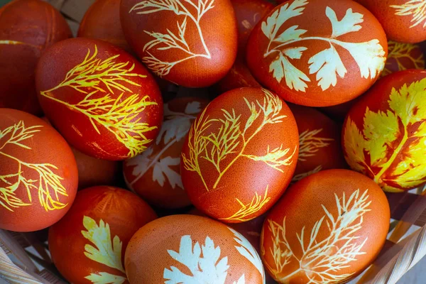 Uova Pasqua Tinte Con Buccia Cipolla Aneto Prezzemolo Coloranti Ecologici Immagine Stock