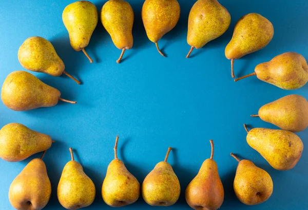Yellow pears on a blue background. Fruit harvest. Autumn still life. Pear variety Bera Conference. Vitamin food. Pattern top view