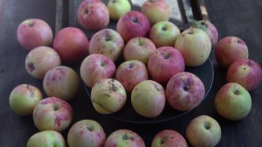 Elma hasatı Sonbahar meyvesi. Vitamin yiyeceği. Pembe noktalı kırmızı elmalar..