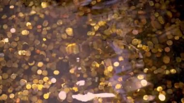 Okyanusun dibindeki hazineler. Su altında altın sikkeler. Çeşmede bir sürü bozuk para var. Dalgalar ve sallanan su hareketleri. Bozuk para..