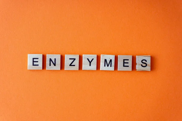 stock image Word enzymes. The phrase is laid out in wooden letters top view. Orange flat lay background