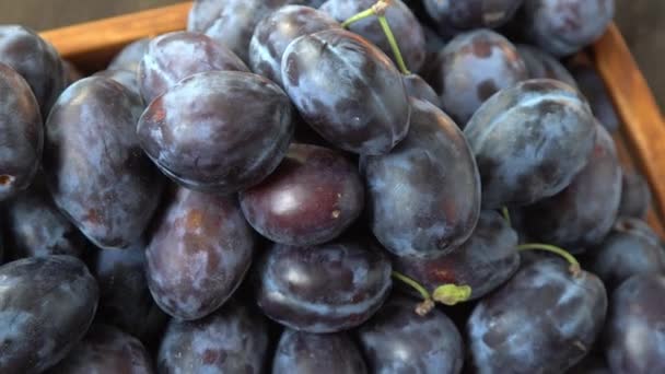 多種多様なハンガリー キッチンのテーブルの上のフルーツの収穫 秋の青いプラム ビタミン食品トップビュー — ストック動画