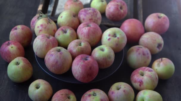 Zbiory Jabłek Jesienny Owoc Witaminowe Jedzenie Czerwone Jabłka Różową Kropką — Wideo stockowe