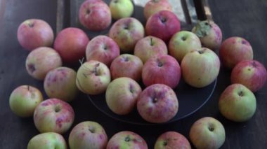 Elma hasatı Sonbahar meyvesi. Vitamin yiyeceği. Pembe noktalı kırmızı elmalar..