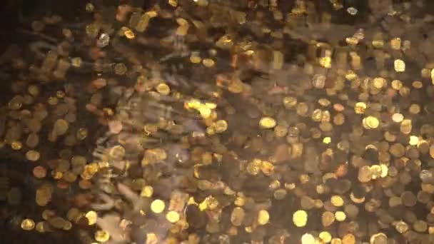 Schatten Bodem Van Oceaan Gouden Munten Onder Water Veel Munten — Stockvideo