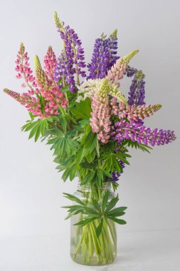 Bir buket lupin. Çok renkli yaz çiçekleri gri arka planda pembe ve mor renkte. Lupine çiçek tomurcukları. Yaz çiçekli arka plan.