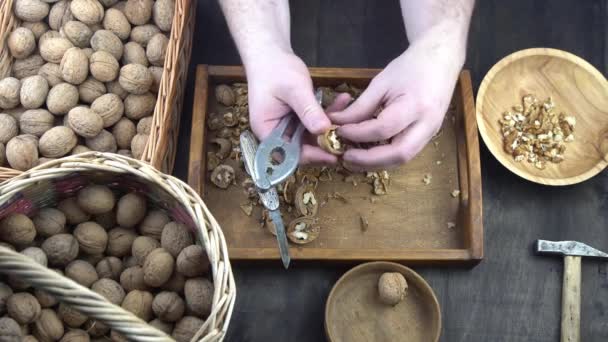 男性の手はナッツクラッカーでナッツをきれいにする クローズアップ シェルトップビューのウォルナット — ストック動画