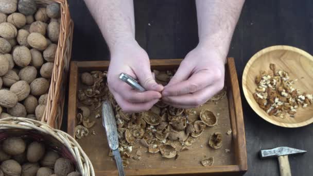 Αρσενικά Χέρια Καθαρίζουν Καρύδια Κράκερ Κοντινό Πλάνο Καρύδι Κέλυφος Πάνω — Αρχείο Βίντεο