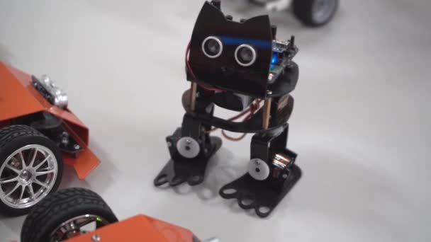 Diy Çocuk Inşaat Setinden Dans Eden Robot Kedi Okulda Robot — Stok video