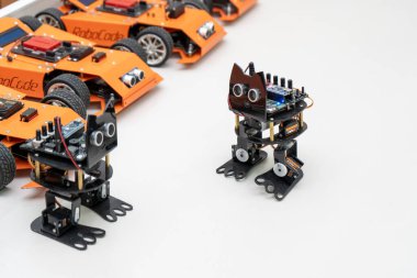 Arduino 'daki DIY çocuk inşaat setinin robot kedisi. Okulda robot biliminin temel unsurları. Devre kartlarından, mikro devrelerden ve pillerden yapılmış bir oyuncak. Ukrayna, Kyiv - 16 Aralık 2023