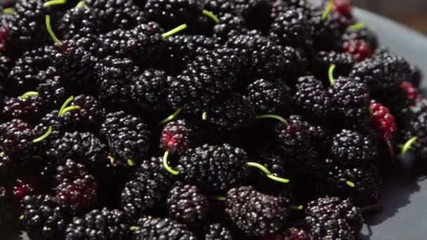 桑树在碗里 夏天的黑莓收获 水果食品背景 有桑叶的绿枝 桌上的叶子 — 图库视频影像