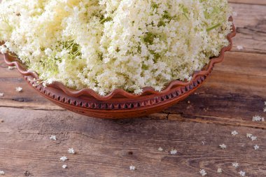 Yaşlı çiçekler. Beyaz çiçek çalısı. Şurup ve içecek yapmak için tomurcuk topluyorum. Masadaki bir kasede yemek ve yemek. Sambucus bitkisi