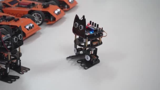 Diyの子育ての構築セットからロボット猫を踊ります 学校でのロボットの基礎 サーキットボード マイクロキット バッテリーから作られたおもちゃ ウクライナ キエフ 2023年12月16日 — ストック動画