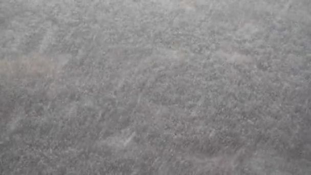 Sta Nevicando Tempo Nevoso Invernale Pesanti Nevicate Sulla Foresta Vista — Video Stock