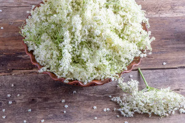 Elder flowers. White flower shrub. Harvesting buds for making syrup and drink. Cooking and food in a bowl on the table. Sambucus plant