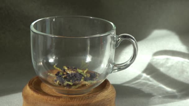 Zaparzyć Anchan Niebieską Herbatę Filiżance Wlać Wrzącą Wodę Szklanej Filiżanki — Wideo stockowe