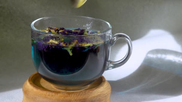 在杯子里泡蓝茶 准备饮料 用茶匙在杯子里搅拌树叶 — 图库视频影像