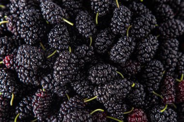 Bir kasede dut. Yazın böğürtlen hasadı. Meyveli siyah gıda arka planı. Dut yapraklı yeşil dal. Yaprak masanın üstünde..