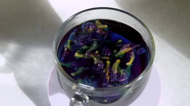Ζυμαρικά Anchan Μπλε Τσάι Ένα Φλιτζάνι Γυρίζω Ποτό Άποψη Από — Αρχείο Βίντεο