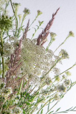 Beyaz arka planda bir buket beyaz çiçek. Yaban havucu ve kiremit. Basit bir yaz çiçeği. Doğa florası estetiği. Yaprak tomurcuğu. Bitki bilimi. Asgari biçim.