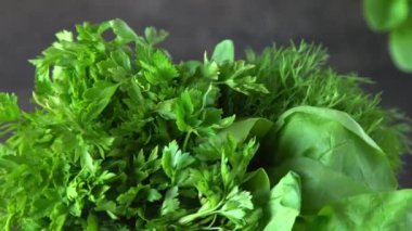 Yeşil soğan, ıspanak, maydanoz ve dereotu. Vitamin yiyeceği. Salata için sebze hazırlayın. Farklı yapraklar ayarla