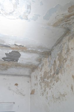 Odanın duvarlarında ve tavanında küf var. Alçı ve boya soyuyorlar. Eski bir evde sersemlik