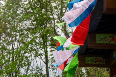 Tibet renkli bayraklar sallanıyor. Budizm geleneği. Tibet Dua Bayrağı.