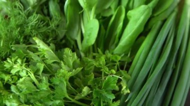 Yeşil soğan, ıspanak, maydanoz ve dereotu. Vitamin yiyeceği. Salata için sebze hazırlayın. Farklı yapraklar ayarla