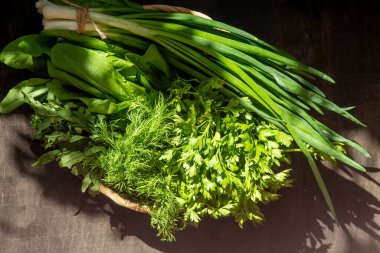 Yeşil soğan, ıspanak, maydanoz ve dereotu. Vitamin yiyeceği. Salata için sebze hazırlayın. Yeşil borş için farklı yapraklar ayır