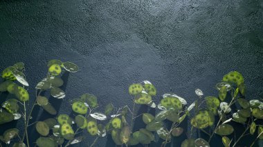 Yeşil yapraklı arka plan. Lunaria Annua gidiyor. Kurumuş çiçek para bitkisi.