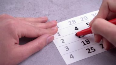 Bir iş haftası planlayın. Takvim tarihlerinde daire çiz ve vur. Kırmızı kalemle yaz. El yapımı 11 iş günü