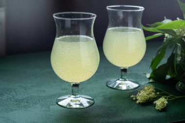 Karbonatlı mürver çiçeği içeceği. Gözlüklü yaz kvass 'ı. Köpüklü ev yapımı hugo sağlıklı su.