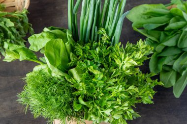 Yeşil soğan, ıspanak, maydanoz ve dereotu. Vitamin yiyeceği. Salata için sebze hazırlayın. Yeşil borş için farklı yapraklar ayır