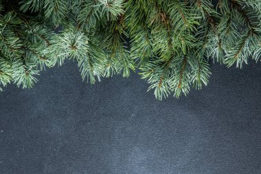 Yeşil ağaç dalları. Noel doğal arka planı