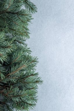 Yeşil ağaç dalları. Noel doğal arka planı