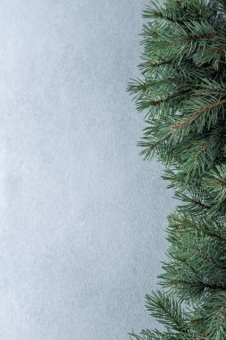 Yeşil ağaç dalları. Noel doğal arka planı