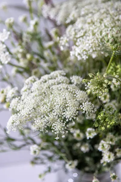 Beyaz arka planda bir buket beyaz çiçek. Yaban havucu ve kiremit. Basit bir yaz çiçeği. Doğa florası estetiği. Yaprak tomurcuğu. Bitki bilimi. Asgari biçim.