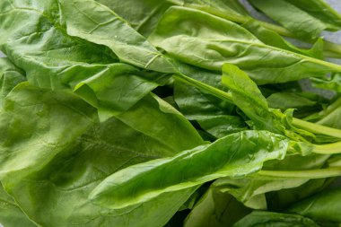Salata üzerine ıspanak yeşili yapraklar sağlıklı yiyecekler.
