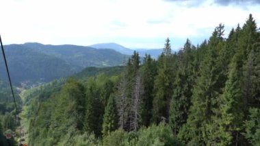 Cableway Karpat Dağları yeşil orman. Doğa ağaçları